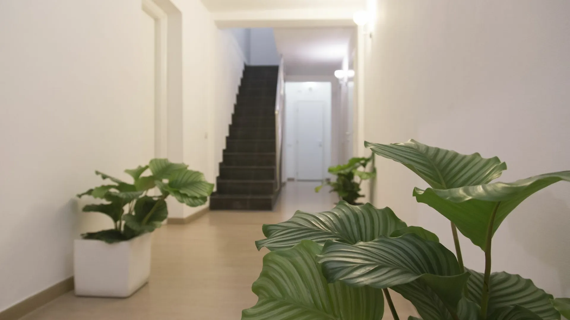 Guest house Suite Inn Catania